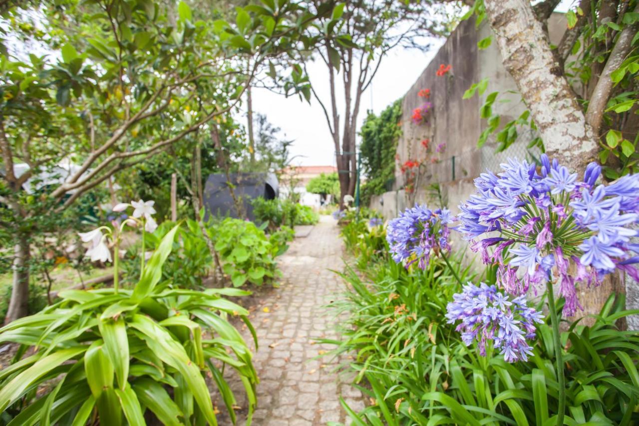 Beautiful Country House&Romantic Garden Sintra Exterior foto